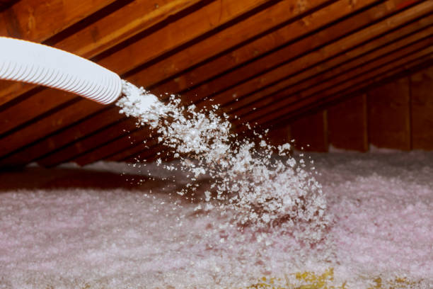 Best Cellulose Insulation in Freeman, SD