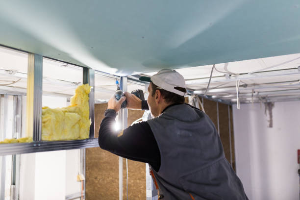 Best Residential Insulation in Freeman, SD