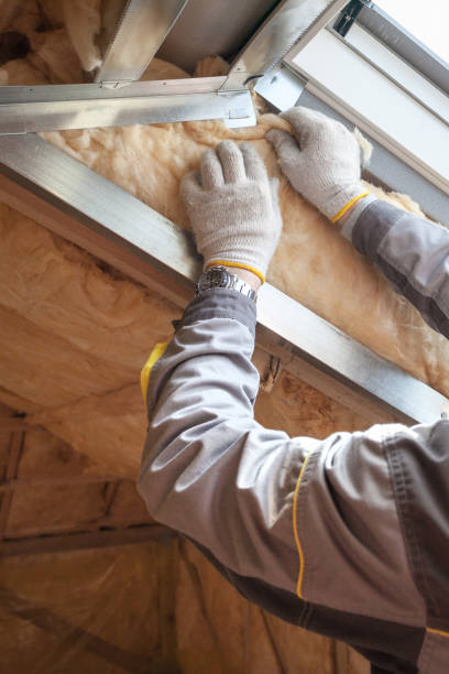 Best Specialized Insulation Services in Freeman, SD
