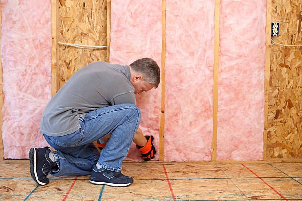 Best DIY Insulation Kits and Guidance in Freeman, SD