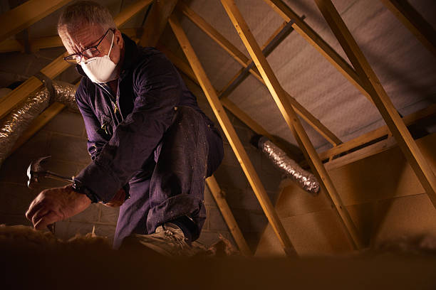 Best Commercial Insulation in Freeman, SD